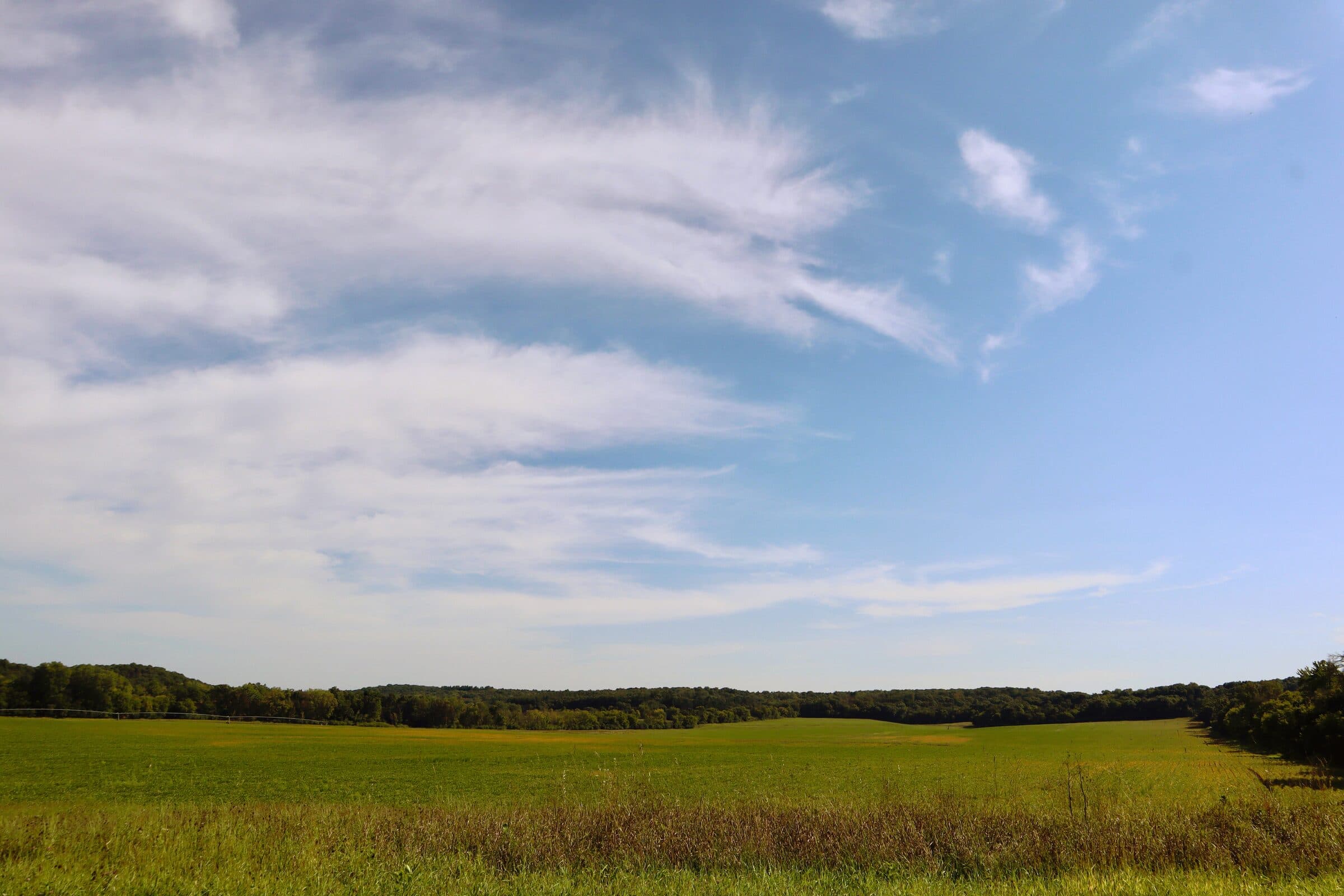 An open central Wisconsin meadow running to a treeline under a wide, cloud-streaked sky.